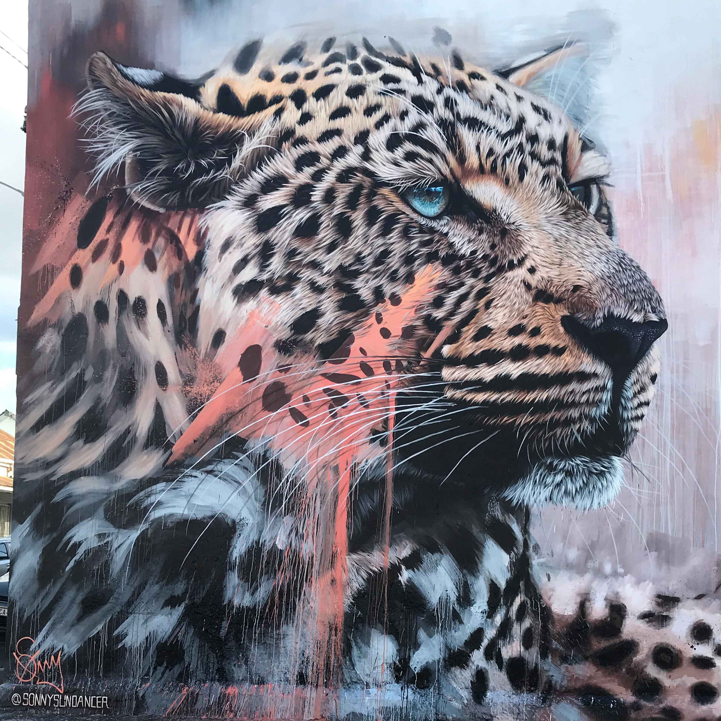 Street Art in Cape Town Central & Salt River